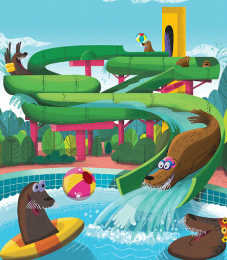 Seals on a Waterslide